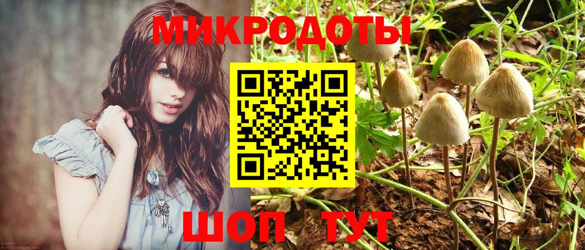 Псилоцибиновые грибы MAGIC MUSHROOMS  Вход с VPN  Лесной 